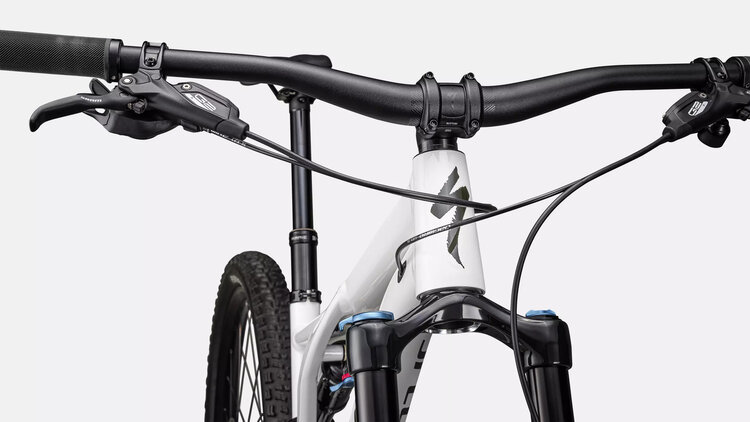 SPECIALIZED STUMPJUMPER COMP ALLOY | DUNE WHITE/DARK MOSS