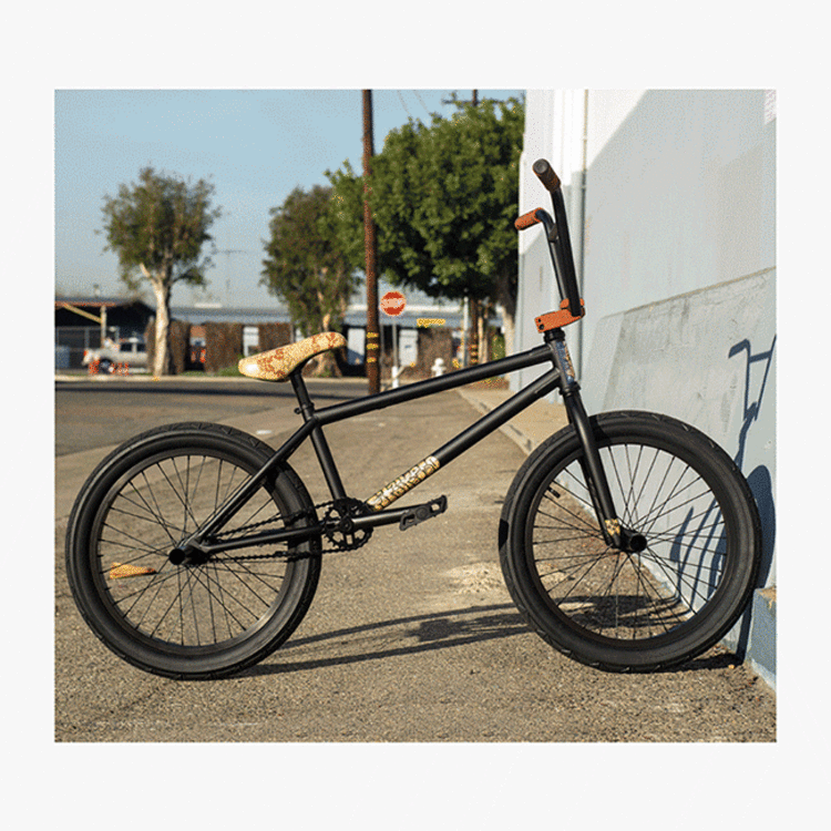 FITBIKECO. STR (MD)