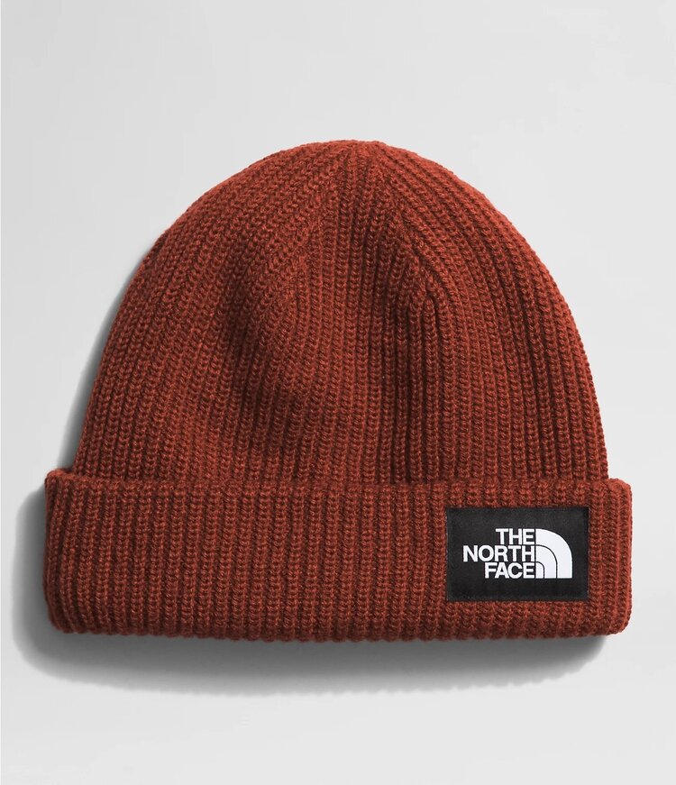 THE NORTH FACE SALTY LINED BEANIE | BRANDY BROWN