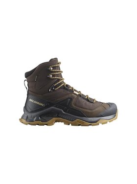 SALOMON MEN'S QUEST ELEMENT GTX | DELICIOSO/BLACK