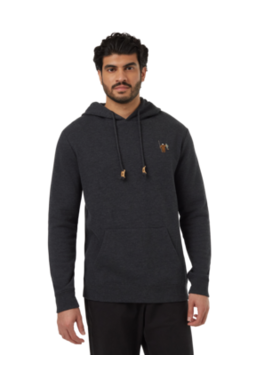 TENTREE MEN'S SASQUATCH HOODIE | METEORITE BLACK