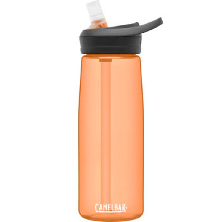 CAMELBAK EDDY+ 25oz