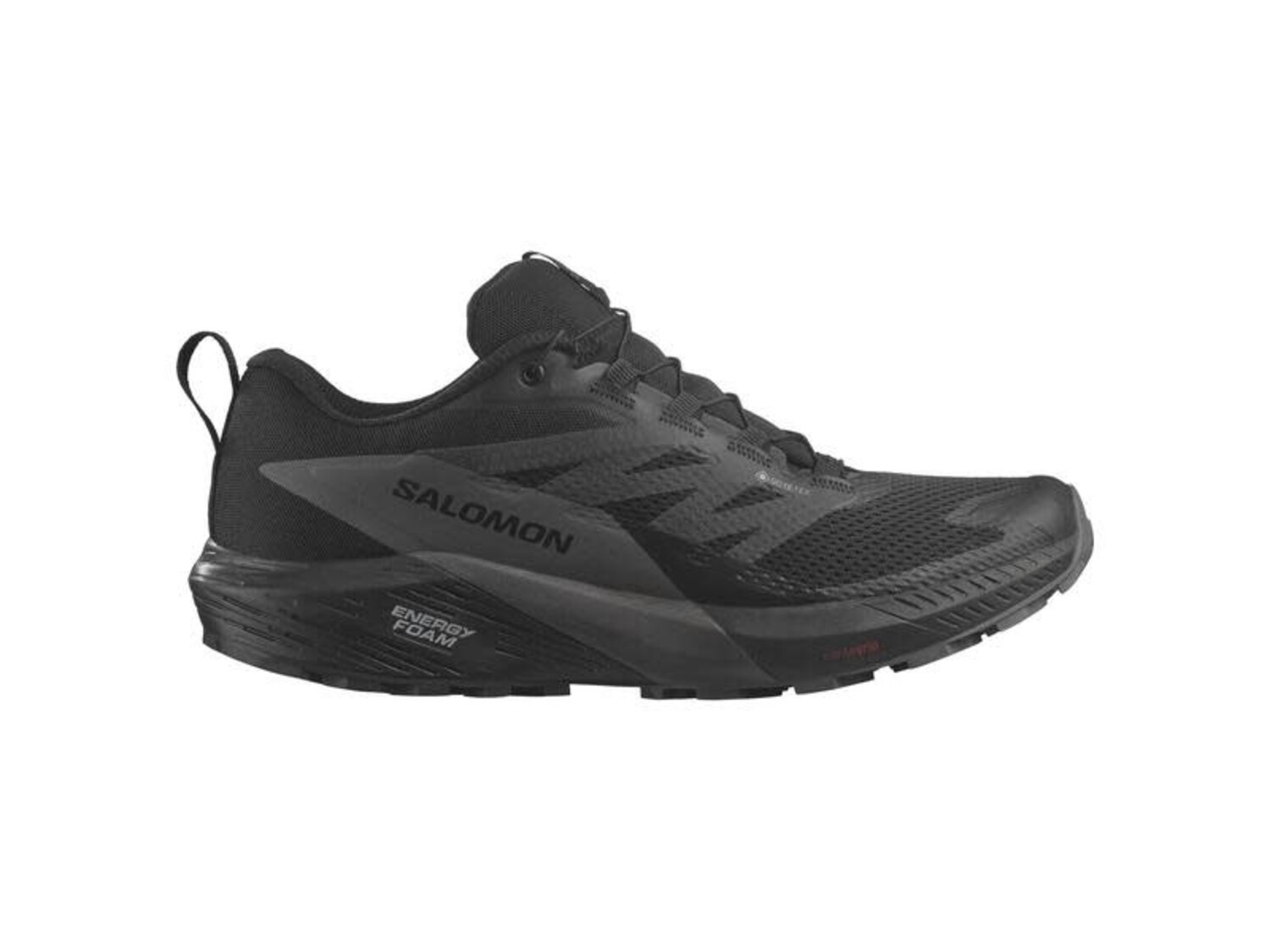 SALOMON MEN'S SENSE RIDE 5 GTX | BLACK/MAGNET - Gerick Sports