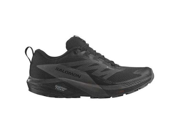 SALOMON MEN'S SENSE RIDE 5 GTX | BLACK/MAGNET