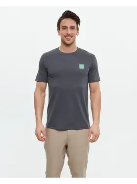 TENTREE MEN'S EMERALD EDGE RELAXED TEE | GRAPHITE /SAGE BRUSH