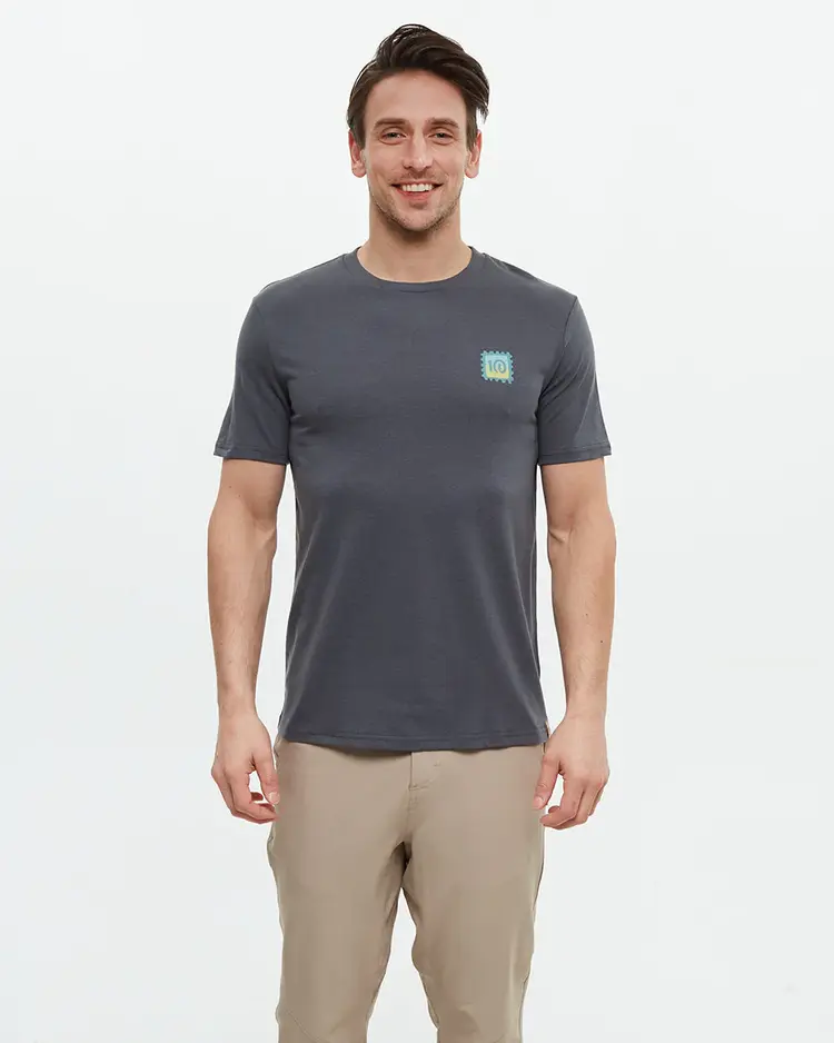 TENTREE MEN'S EMERALD EDGE RELAXED TEE | GRAPHITE/SAGE BRUSH