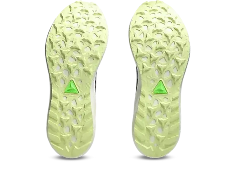 ASICS MEN'S FUJI LITE 5 | TAUPE/COLD MOSS