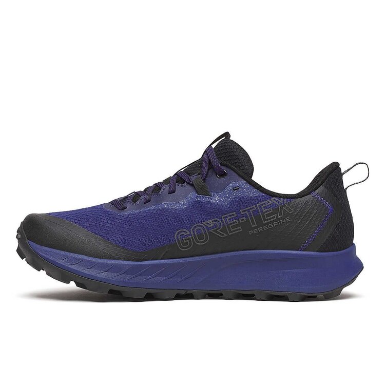 SAUCONY MEN'S PEREGRINE 15 GTX | REGAL/BLACK
