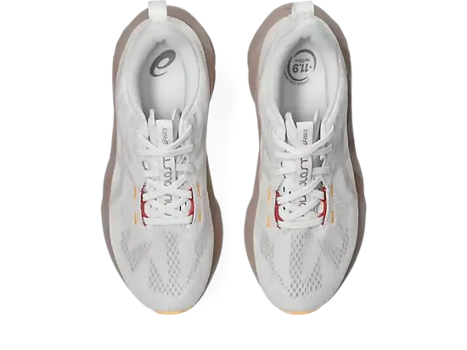 ASICS WOMEN'S NOVABLAST 5 | WHITE/FAWN - Gerick Sports