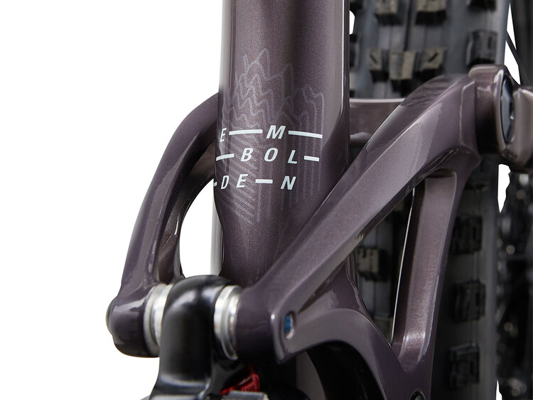 LIV EMBOLDEN 29 1 | CHARCOAL PLUM