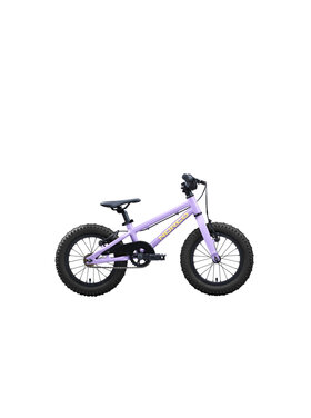 NORCO STORM 14
