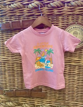 A Little Adventure A Little Adventure Sanibel Beach Animals