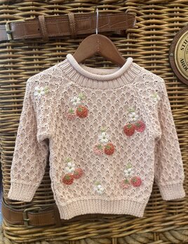 Wild Wawa Wild Wawa Strawberry Fields Sweater