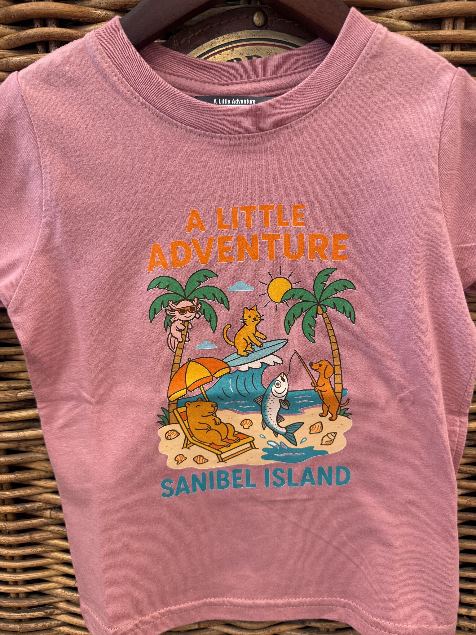 A Little Adventure A Little Adventure Sanibel Beach Animals