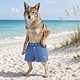 Southern Tide Southern Tide Let's Go Clubbing Boxer
