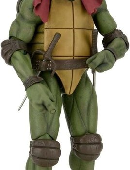 EE Distribution Teenage Mutant Ninja Turtles Scale Action Figure