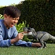 EE Distribution Jurassic World Power Devour T-Rex Figure EE Distribution Jurassic World Power Devour T-Rex Figure