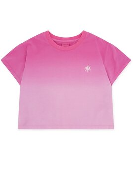Faire Feather 4 Arrow Boxy Tee OMBRE