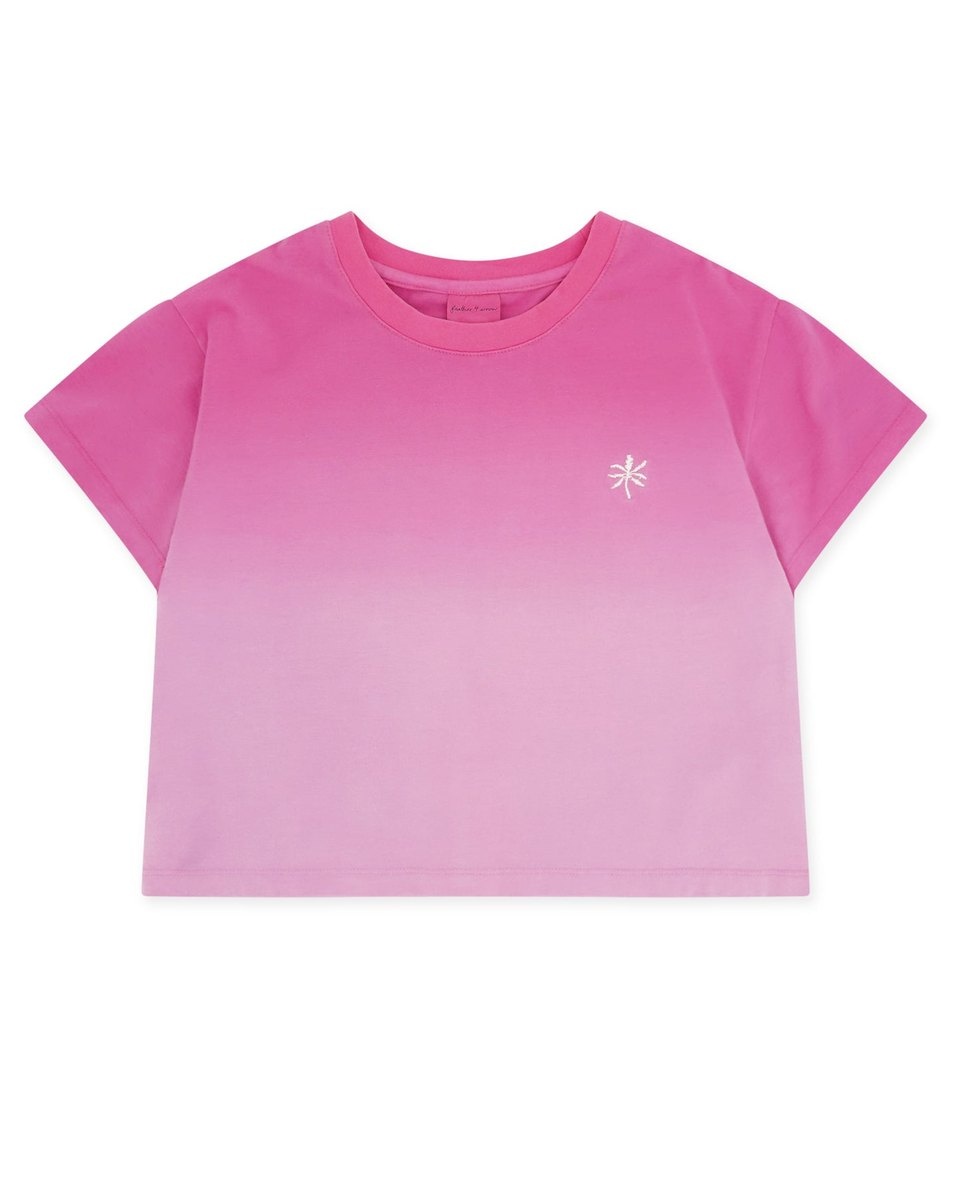 Faire Feather 4 Arrow Boxy Tee OMBRE