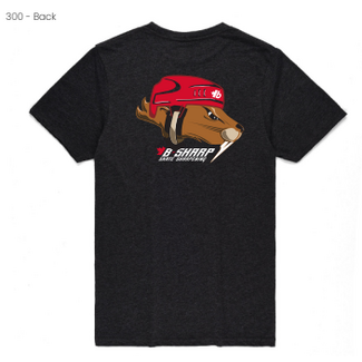 b-sharp ottawa b-sharp  T