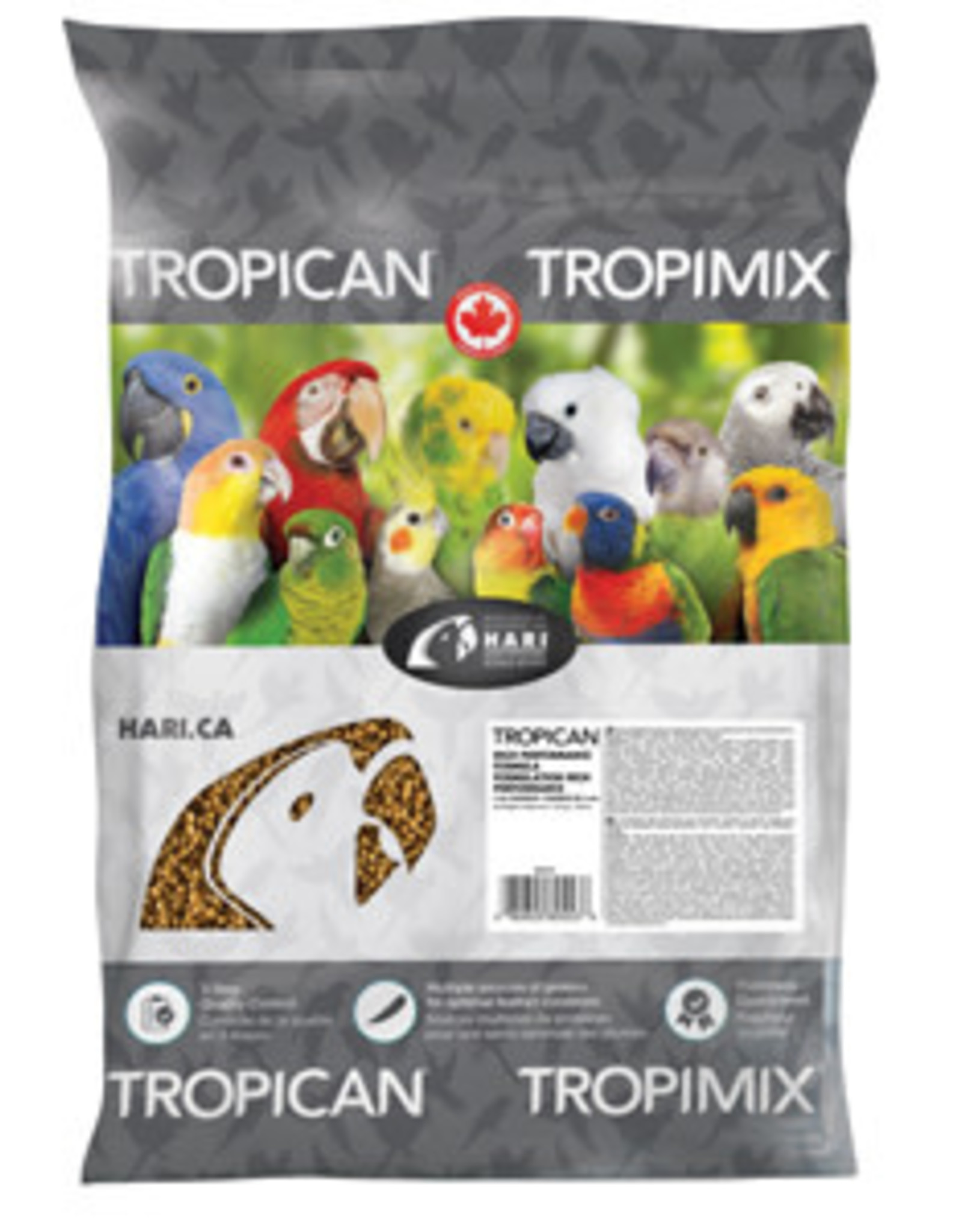 HARI BIN #38- HARI- TROPICAN- HIGH PERFORMANCE- PARROT- (4MM)- PER  LB