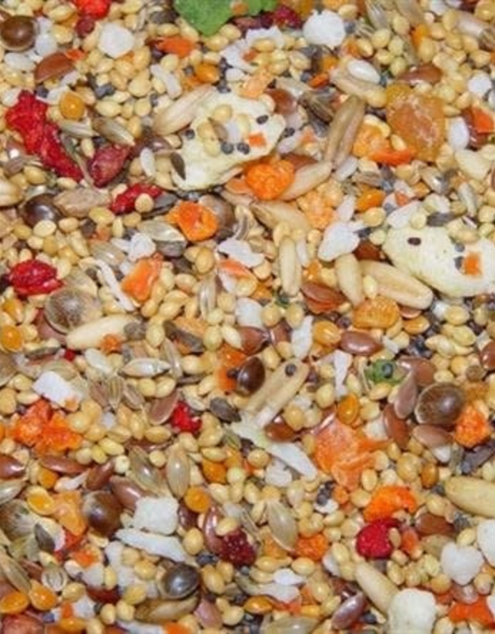 HIGGINS PREMIUM PET FOODS BIN #12- HIGGINS- SUNBURST- 5X5X5- FRUIT AND VEGGIE- SMALL- PER LB