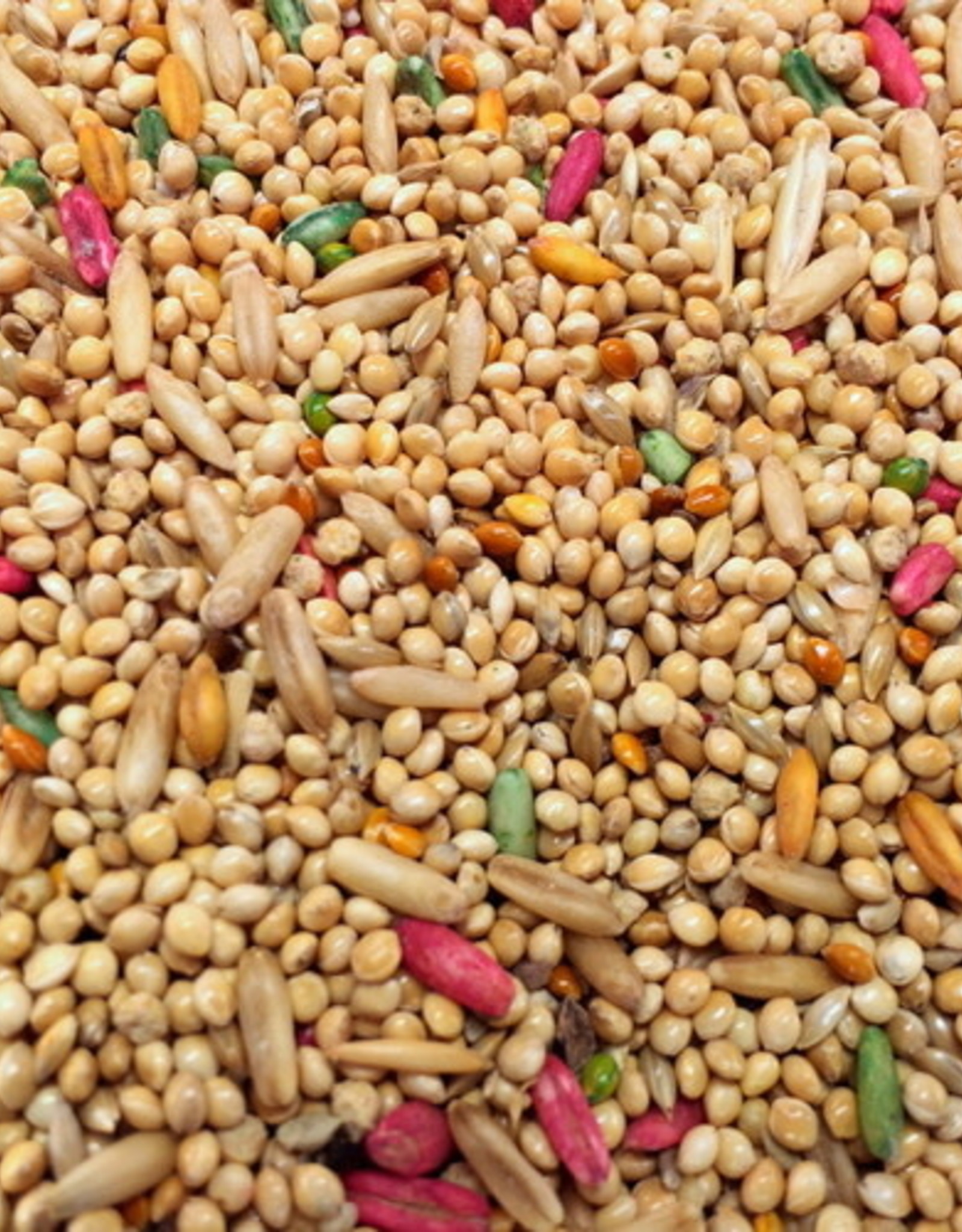 HIGGINS PREMIUM PET FOODS BIN #3- HIGGINS- IMPERIAL DYNASTY- VITA SEED- 5X5X5- PARAKEET- PER LB