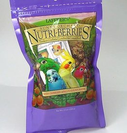LAFEBER'S LAFEBER'S- NUTRI-BERRIES- PELLETED DIET/TREAT- 8.25X8.25X6- 10 OZ- SMALL- SUNNY ORCHARD