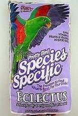 PRETTY BIRD INTERNATIONAL, INC PRETTY BIRD- SPECIES SPECIFIC- 11X7X4- ECLECTUS- 3 LB