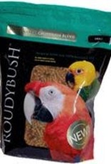 ROUDYBUSH ROUDYBUSH- MAINTENANCE- 6X4X10- MEDIUM- 44 OZ