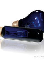 EXO TERRA EXO TERRA- PT2130- NIGHT HEAT- MOONLIGHT LAMP/BULB- BLUE GLASS- 3X3X5- 75W