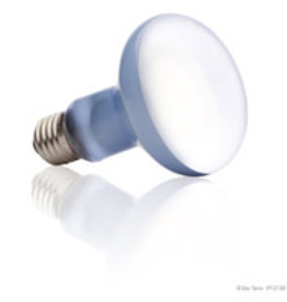 EXO TERRA PT2140- BASKING SPOT- LAMP/BULB- 4X4X6- 150W- INTENSE