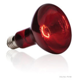 EXO TERRA EXO TERRA- PT2142- BASKING SPOT- LAMP/BULB- RED GLASS- 3X3X5- 75W- INFRARED