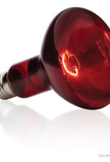 EXO TERRA EXO TERRA- PT2146- BASKING SPOT- LAMP/BULB- RED GLASS- 3X3X5- 150W- INFRARED
