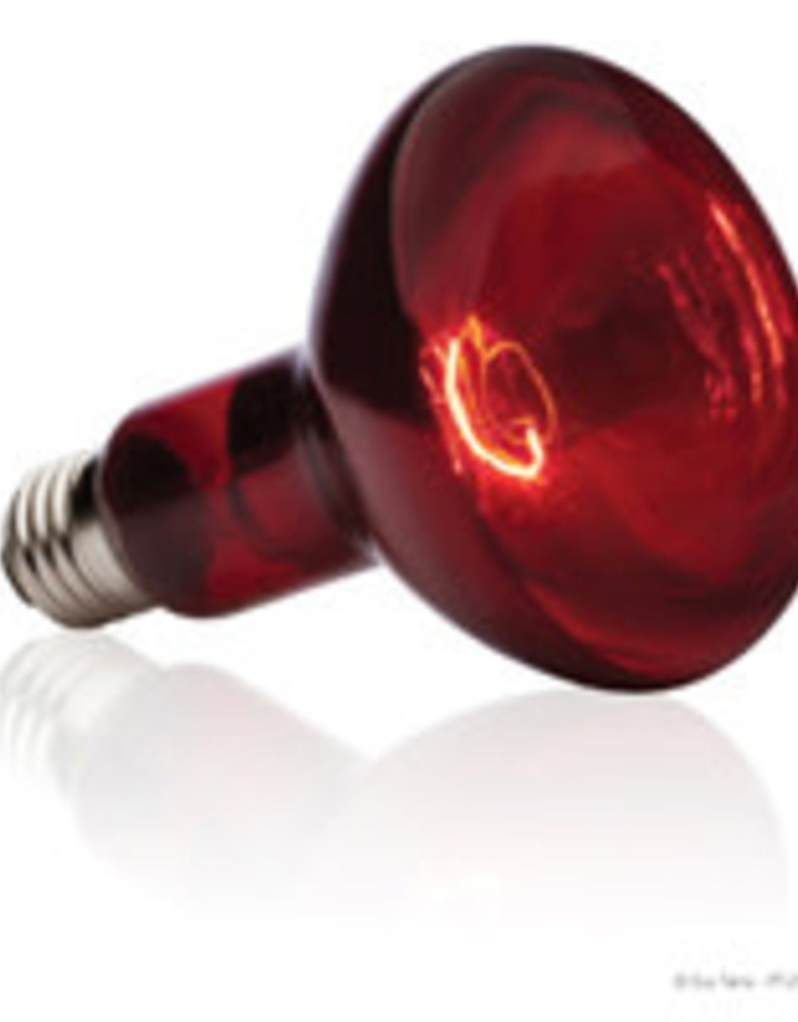 EXO TERRA EXO TERRA- PT2141- BASKING SPOT- LAMP/BULB- RED GLASS- 3X3X5- 50W- INFRARED