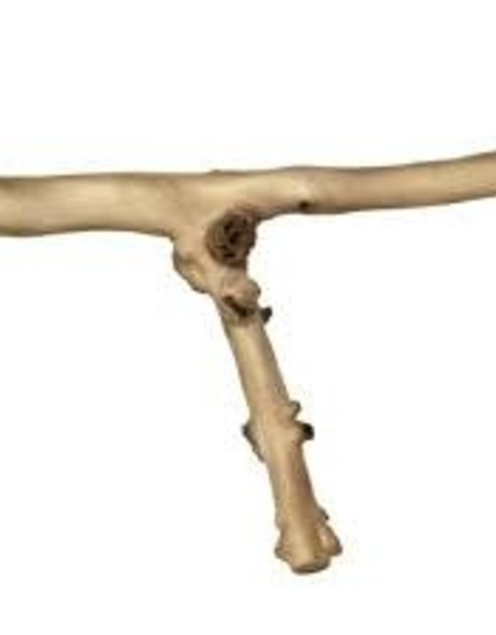 PREVUE PET PRODUCTS, INC. PREVUE- 1050- PERCH- COFFEA WOOD- .5X1X9- Y-BRANCH