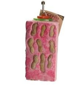 POLLY'S PET PRODUCTS INC PPP 50415- CACTUS SNACK- DOUBLE SLICE- 8.5X3.25