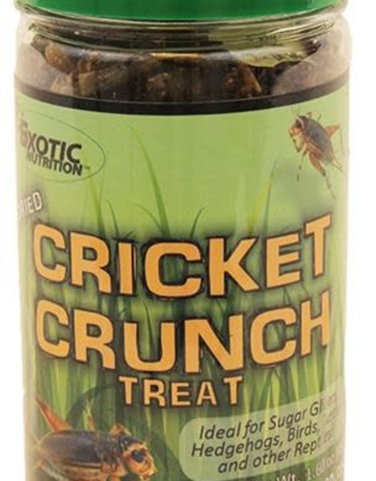 EXOTIC NUTRITION EXOTIC NUTRITION- 52762N- DRIED TREAT- 3X3X6- CRICKET CRUNCH- 45G