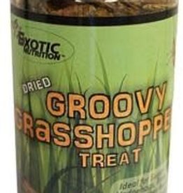 EXOTIC NUTRITION EN2647- DRIED TREAT- 3X3X7- GROOVY GRASSHOPPERS 40G