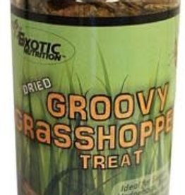 EXOTIC NUTRITION EXOTIC NUTRITION- 552768- DRIED TREAT- 3X3X7- GROOVY GRASSHOPPERS 40G