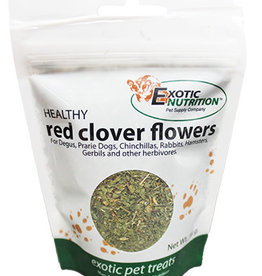 EXOTIC NUTRITION EXOTIC NUTRITION- EN 3619- TREAT- 2X4X6- RED CLOVER 18G