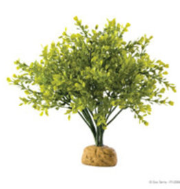 EXO TERRA EXO TERRA- PT2994- TERRARIUM PLANT- 6X6X8- BOXWOOD BUSH