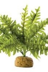 EXO TERRA EXO TERRA- PT2990- TERRARIUM PLANT- 8X8X12- BOSTON FERN- SMALL