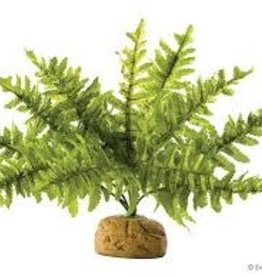 EXO TERRA EXO TERRA- PT2990- TERRARIUM PLANT- 8X8X12- BOSTON FERN- SMALL