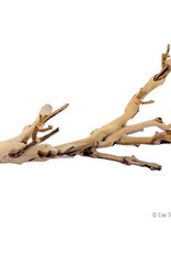 EXO TERRA EXO TERRA- PT3075- TERRARIUM DECOR- FOREST BRANCH- 10X6X5- SMALL
