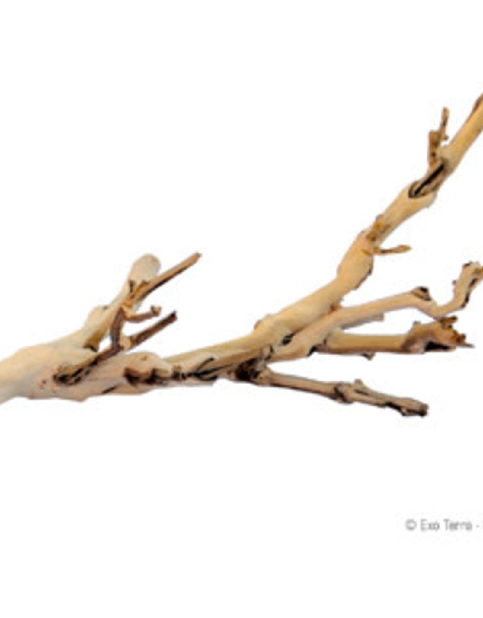 EXO TERRA EXO TERRA- PT3075- TERRARIUM DECOR- FOREST BRANCH- 10X6X5- SMALL