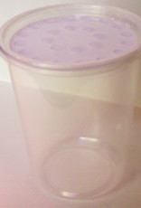 LIVE- FRUIT FLY- CUP W/CLOTH VENTED LID