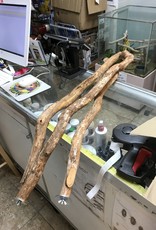 MP521- DRAGON WOOD PERCH- DOUBLE BOLT PERCH- 32 INCH