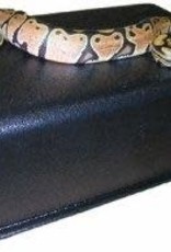 RECTANGLE BLACK HIDE BOX