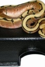 RECTANGLE BLACK HIDE BOX